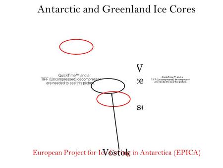 Glacial-Interglacial Variability Records of the Pleistocene Ice Ages