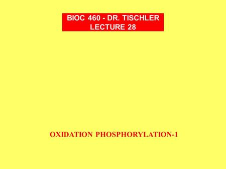 OXIDATION PHOSPHORYLATION-1 BIOC 460 - DR. TISCHLER LECTURE 28.