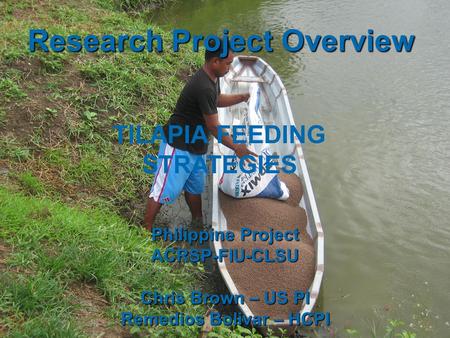 Research Project Overview Philippine Project ACRSP-FIU-CLSU Chris Brown – US PI Remedios Bolivar – HCPI TILAPIA FEEDING STRATEGIES.