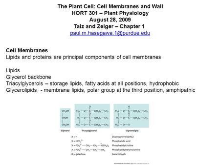 The Plant Cell: Cell Membranes and Wall HORT 301 – Plant Physiology August 28, 2009 Taiz and Zeiger – Chapter 1 Cell Membranes.