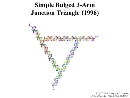 Simple Bulged 3-Arm Junction Triangle (1996) J. Qi, X. Li, X. Yang & N.C. Seeman, J. Am. Chem. Soc., 118, 6121-6130 (1996).