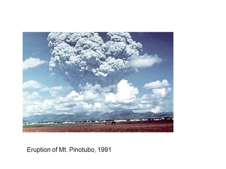 Eruption of Mt. Pinotubo, 1991.  Acid Rain Damage in the Blue Ridge Mountains of North Carolina.