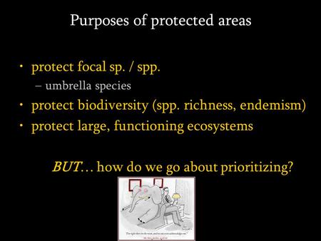 Purposes of protected areas protect focal sp. / spp. –umbrella species protect biodiversity (spp. richness, endemism) protect large, functioning ecosystems.