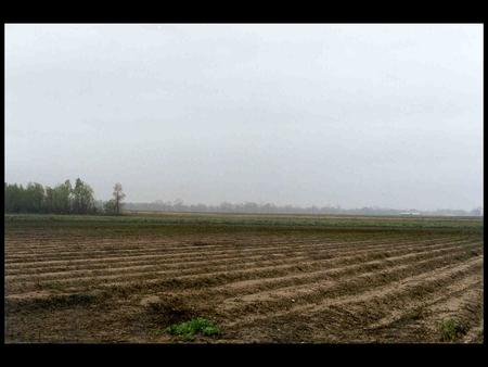 Previous slide: Cotton Field Prepared for Planting, Lake Providence, Louisiana, March 2000.