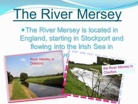 The River Mersey The River Mersey is located in England, starting in Stockport and flowing into the Irish Sea in Liverpool. The River Mersey is located.