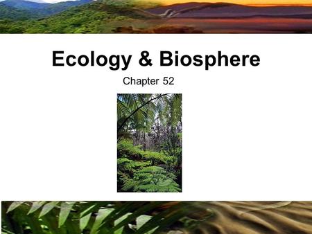 Chapter 52 Ecology & Biosphere. Fig. 52-2 Organismal ecology Population ecology Community ecology Ecosystem ecology Landscape ecology Global ecology Studies.