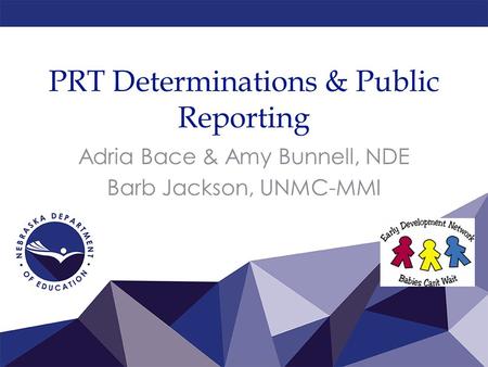 PRT Determinations & Public Reporting Adria Bace & Amy Bunnell, NDE Barb Jackson, UNMC-MMI.