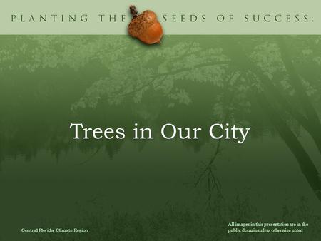 Trees in Our City Central Florida Climate Region All images in this presentation are in the public domain unless otherwise noted.