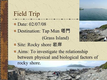 Field Trip Date: 02/07/08 Destination: Tap Mun 塔門 (Grass Island) Site: Rocky shore 岩岸 Aims: To investigate the relationship between physical and biological.