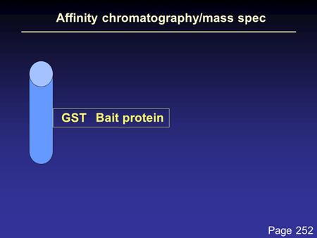 Affinity chromatography/mass spec Bait protein GST Page 252.