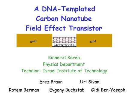 A DNA-Templated Carbon Nanotube Field Effect Transistor Erez BraunUri Sivan Rotem BermanEvgeny Buchstab Gidi Ben-Yoseph Kinneret Keren Physics Department.