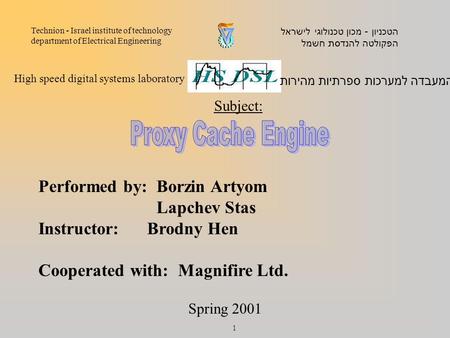 Performed by: Borzin Artyom Lapchev Stas Instructor: Brodny Hen Cooperated with: Magnifire Ltd. המעבדה למערכות ספרתיות מהירות High speed digital systems.