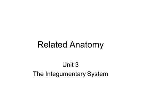 Related Anatomy Unit 3 The Integumentary System Integumentary System Skin (epithelial tissue) + Accessory organs Glands ( oil, sweat, mammory) Hair Nails.