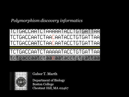 Polymorphism discovery informatics Gabor T. Marth Department of Biology Boston College Chestnut Hill, MA 02467.