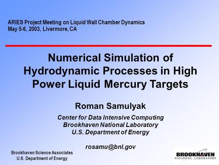 Brookhaven Science Associates U.S. Department of Energy ARIES Project Meeting on Liquid Wall Chamber Dynamics May 5-6, 2003, Livermore, CA Numerical Simulation.