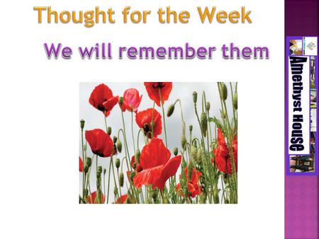 November is the month poppies are sold…. Why? To remember those who died during the wars.
