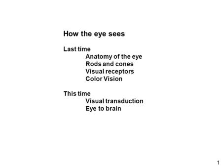 How the eye sees Last time Anatomy of the eye Rods and cones Visual receptors Color Vision This time Visual transduction Eye to brain 1.