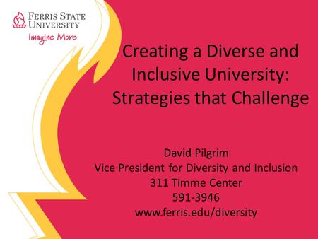 Creating a Diverse and Inclusive University: Strategies that Challenge David Pilgrim Vice President for Diversity and Inclusion 311 Timme Center 591-3946.