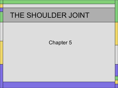 THE SHOULDER JOINT Chapter 5. Bones Humerus Scapula Clavicle.