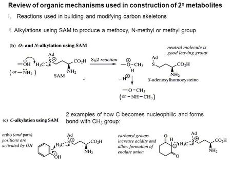 Review of organic mechanisms used in construction of 2 o metabolites I.Reactions used in building and modifying carbon skeletons 1. Alkylations using SAM.