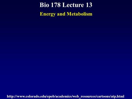 Bio 178 Lecture 13 Energy and Metabolism