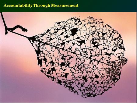 Accountability Through Measurement. Accountability Precedes Compelling Measurement Aligning Environmental Reporting with Accountability Dan Rubenstein,