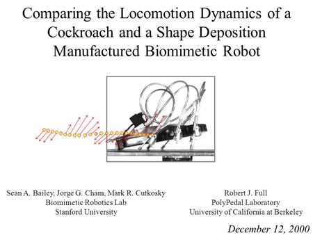 Comparing the Locomotion Dynamics of a Cockroach and a Shape Deposition Manufactured Biomimetic Robot Sean A. Bailey, Jorge G. Cham, Mark R. Cutkosky Biomimetic.