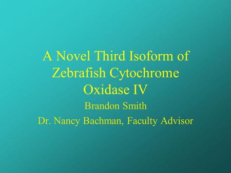 A Novel Third Isoform of Zebrafish Cytochrome Oxidase IV Brandon Smith Dr. Nancy Bachman, Faculty Advisor.