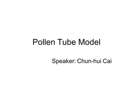 Pollen Tube Model Speaker: Chun-hui Cai. Channel Open probability: p=α*ΔP potential_out_in ; Calcium concentration at each spot: ρ(i,t+1)=ρ(i,t)+ΣJ; Calcium.