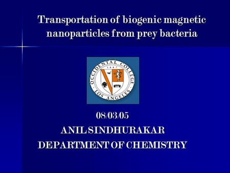 Transportation of biogenic magnetic nanoparticles from prey bacteria 08/03/05 ANIL SINDHURAKAR DEPARTMENT OF CHEMISTRY.