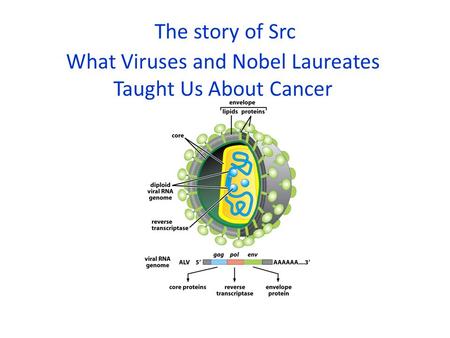 The story of Src What Viruses and Nobel Laureates Taught Us About Cancer.