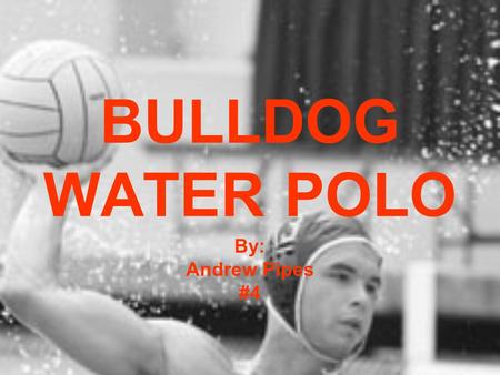BULLDOG WATER POLO By: Andrew Pipes #4. ABOUT US We have been in existence for about 6 years We are consistently Nationally Ranked We are a club team.