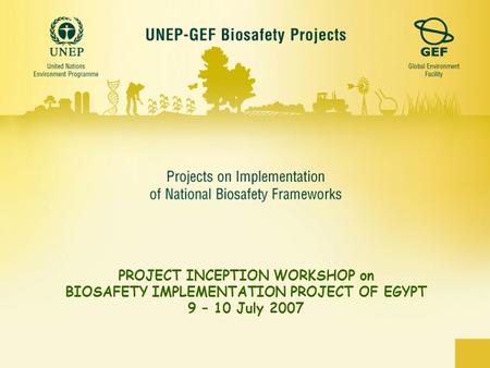 PROJECT INCEPTION WORKSHOP on BIOSAFETY IMPLEMENTATION PROJECT OF EGYPT 9 – 10 July 2007.