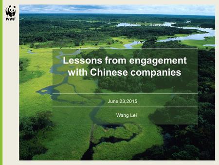 Lessons from engagement with Chinese companies June 23,2015 Wang Lei.