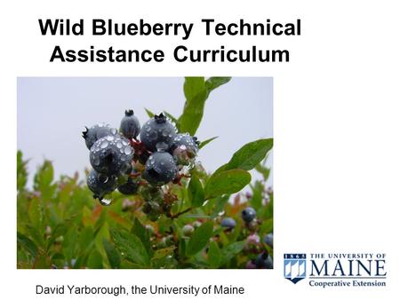 Wild Blueberry Technical Assistance Curriculum David Yarborough, the University of Maine.