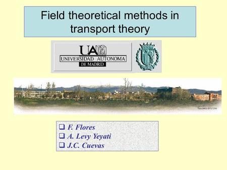Field theoretical methods in transport theory  F. Flores  A. Levy Yeyati  J.C. Cuevas.