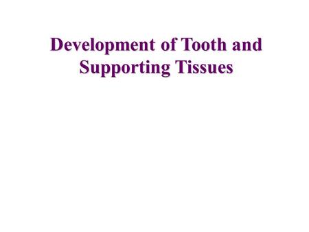 Development of Tooth and