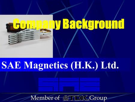 SAE Magnetics (H.K.) Ltd. Member of Group Company Background.