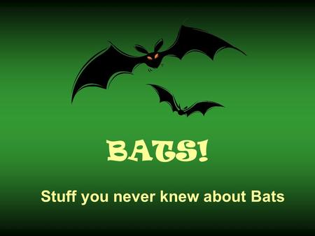 Stuff you never knew about Bats