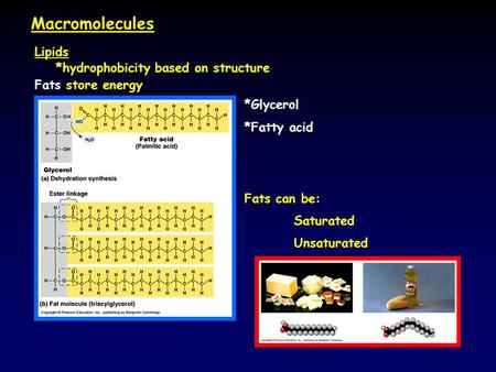 Lipids *hydrophobicity based on structure Fats store energy *Glycerol *Fatty acid Fats can be: Saturated Unsaturated Macromolecules.