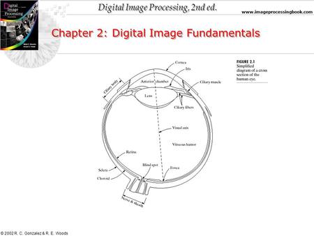 Digital Image Processing, 2nd ed. www.imageprocessingbook.com © 2002 R. C. Gonzalez & R. E. Woods Chapter 2: Digital Image Fundamentals.