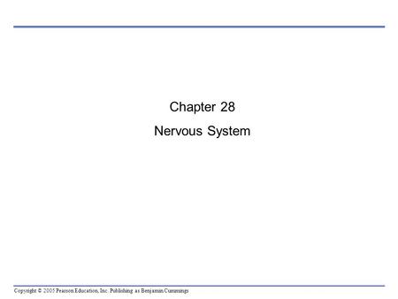 Copyright © 2005 Pearson Education, Inc. Publishing as Benjamin Cummings Chapter 28 Nervous System.