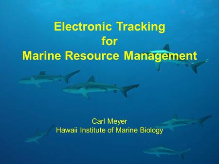 Electronic Tracking for Marine Resource Management Carl Meyer Hawaii Institute of Marine Biology.