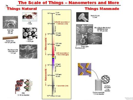 Source:  Model of a carbon nanotube Carbon Nanotubes 100.