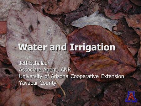 Water and Irrigation Jeff Schalau Associate Agent, ANR University of Arizona Cooperative Extension Yavapai County.