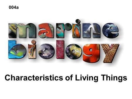Characteristics of Living Things 004a. The Characteristics of Living Things Great Complexity & Organization Composed of Cells Reproduction & Development.