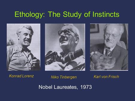 Ethology: The Study of Instincts Nobel Laureates, 1973 Konrad Lorenz Karl von Frisch Niko Tinbergen.