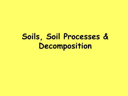 Soils, Soil Processes & Decomposition.