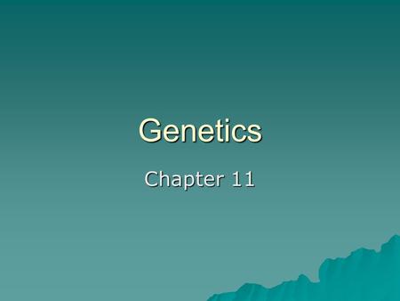 Genetics Chapter 11. Gregor Mendel  “Father” of genetics  Austrian monk, mid-1800s  Researched pea plant inheritance –Easy to grow, fast reproduction.