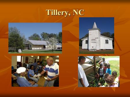 Tillery, NC. Understanding Health and Wellness Needs A Community’s Perspective.